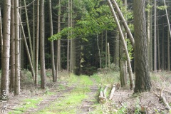 IMG_9579