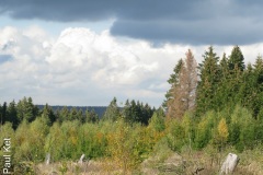 IMG_9595