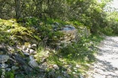 IMG_3320a