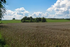 IMG_1448-Pano