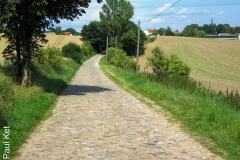 IMG_1465-a