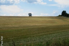 IMG_1534