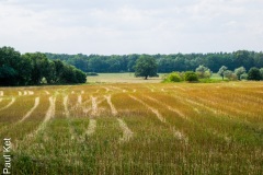IMG_1563-HDR