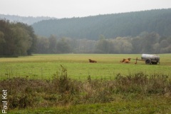 Taken at Latitude/Longitude:51.109478/8.701385. 1.06 km North Rengershausen Hesse Germany  (Map link)