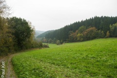 Taken at Latitude/Longitude:51.107562/8.702539. 0.86 km North Rengershausen Hesse Germany  (Map link)