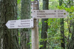 Taken at Latitude/Longitude:51.093123/8.756116. 0.88 km South-East Hommershausen Hesse Germany  (Map link)