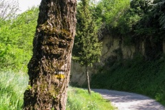 IMG_3895