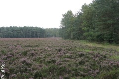 IMG_3940