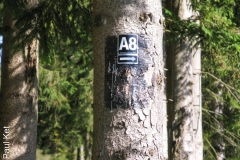 IMG_9347