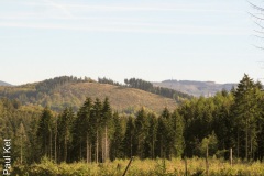 IMG_9362