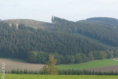 IMG_9524