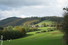 IMG_9632