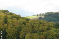 IMG_9640