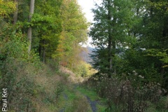 IMG_9652