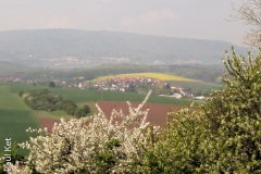 IMG_5972_HDR