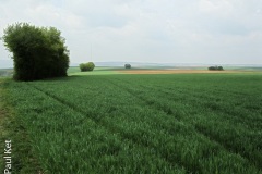 IMG_5977_HDR