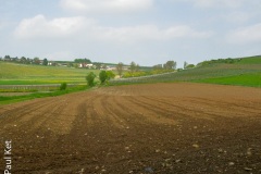 IMG_6003-HDR