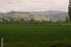 Taken at Latitude/Longitude:49.704891/8.588961. 1.15 km East Fehlheim Hesse Germany  (Map link)
