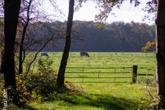IMG_1664