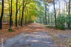 IMG_1685-HDR