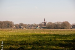 IMG_2834